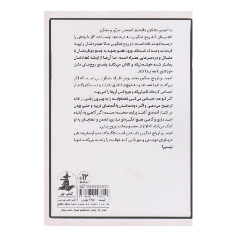 کتاب انجمن ارواح غمگین (3) اثر لیز مدینگز انتشارات میلکان