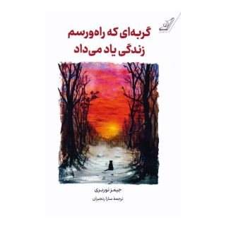 کتاب گربه ای که راه و رسم زندگی یاد می داد اثر جیمز نوربری انتشارات کتاب کوله پشتی