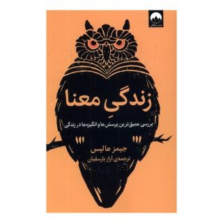 کتاب زندگی معنا اثر جیمز هالیس انتشارات میلکان