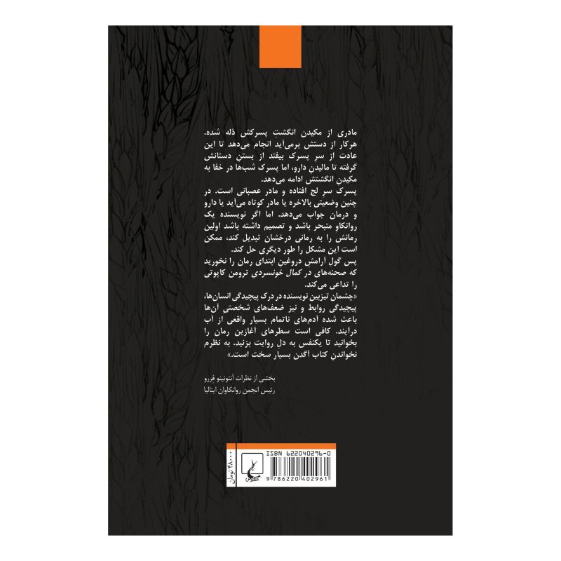 کتاب ناتمام اثر توماس آگدن انتشارات ققنوس