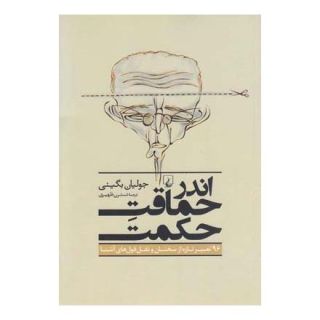 کتاب اندر حماقت حکمت اثر جولیان بگینی انتشارات ققنوس