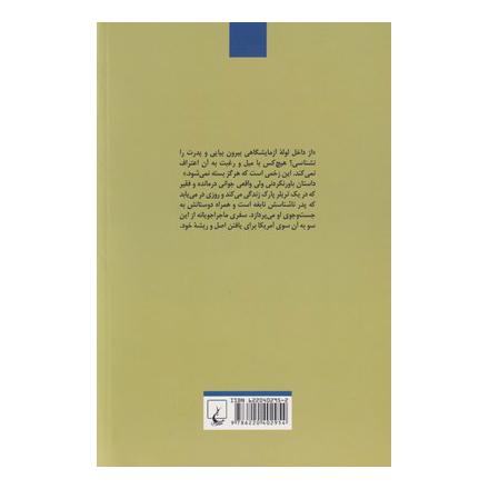 کتاب تقریبا نابغه اثر بندیکت ولس انتشارات ققنوس