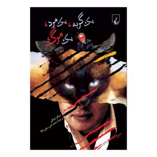 کتاب یک گربه یک مرد یک مرگ اثر زولفو لیوانلی انتشارات ققنوس