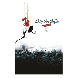 کتاب متولد ماه جغد اثر آزاده محسنی انتشارات ققنوس