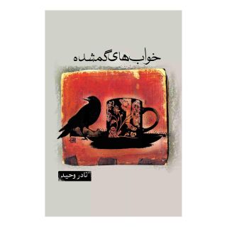 کتاب خواب های گمشده اثر نادر وحید انتشارات ققنوس