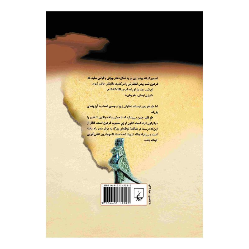 کتاب خانه آرزوها اثر پلین گج انتشارات ققنوس