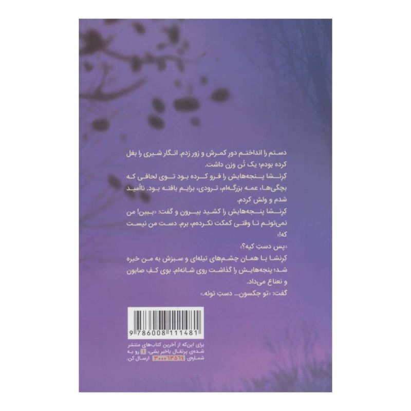 کتاب پاستیل های بنفش (جلد سخت) اثر کاترین اپلگیت انتشارات پرتقال