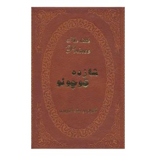 کتاب شازده کوچولو اثر آنتوان دو سنت اگزوپری انتشارات پارمیس