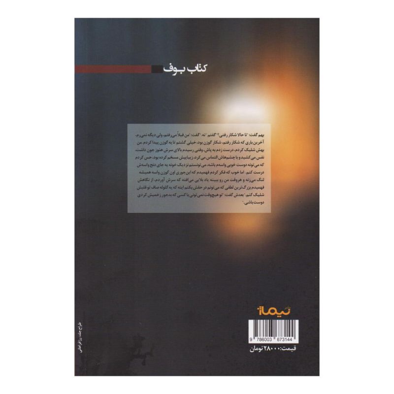 کتاب قهوه ی سرد آقای نویسنده اثر روزبه معین انتشارات نیماژ