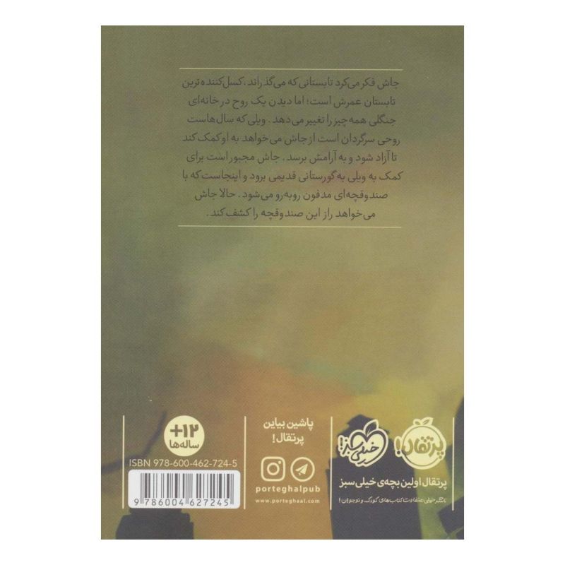 کتاب صندوقچه مدفون اثر پگ کرت انتشارات پرتقال