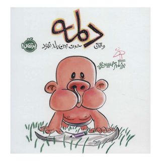 کتاب دلمه وقتی حرف زدن بلد نبود اثر بزرگمهر حسین پور انتشارات پرتقال