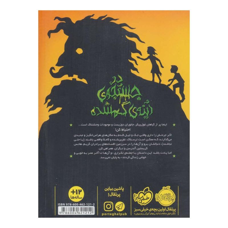 کتاب در جستجوی آینه ی گمشده اثر ادام گیدویتز انتشارات پرتقال
