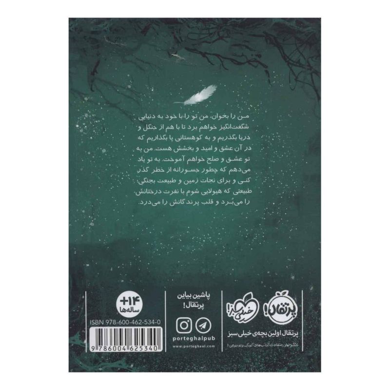 کتاب زمانه ی جادو 2 اثر کرسیدا کاول انتشارات پرتقال