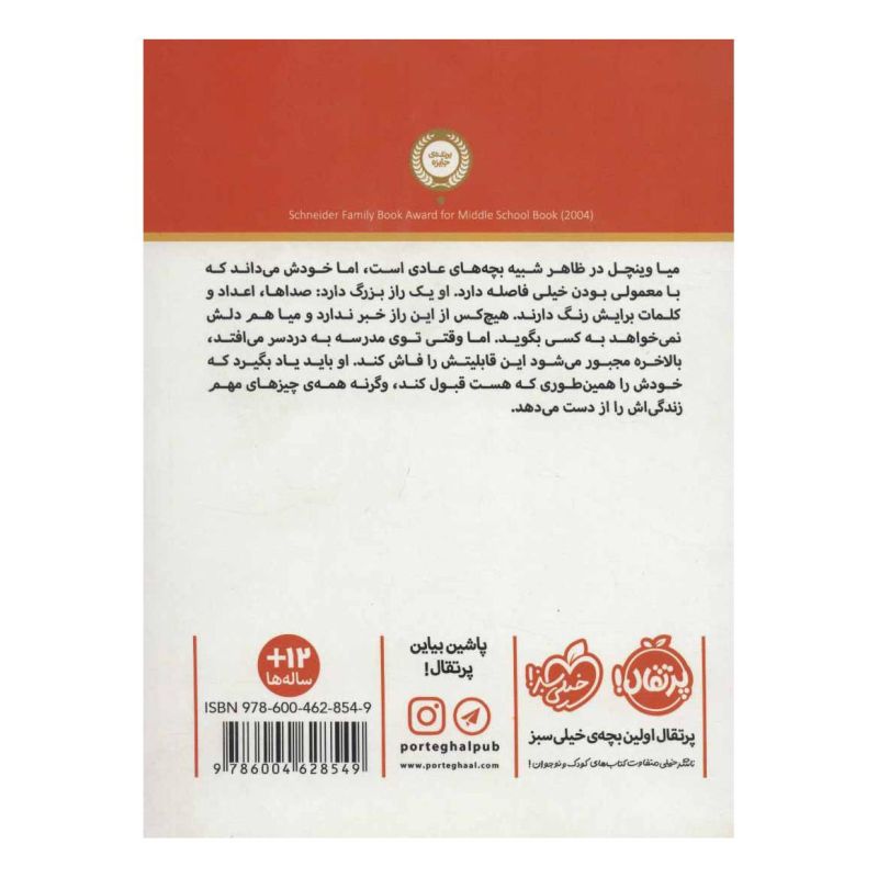 کتاب ابری به شکل انبه اثر وندی مس انتشارات پرتقال