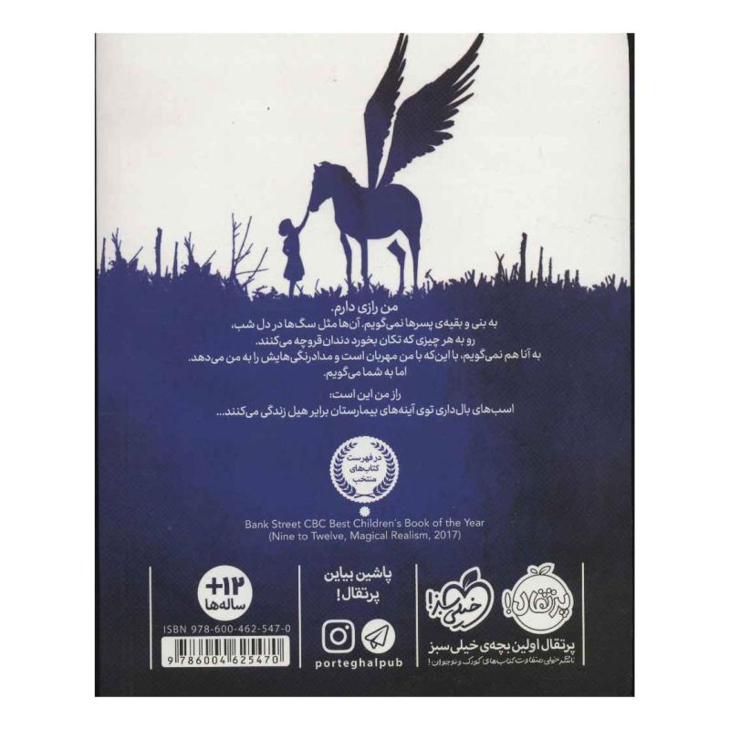 کتاب راز اسب های توی آینه اثر مگان شپرد انتشارات پرتقال
