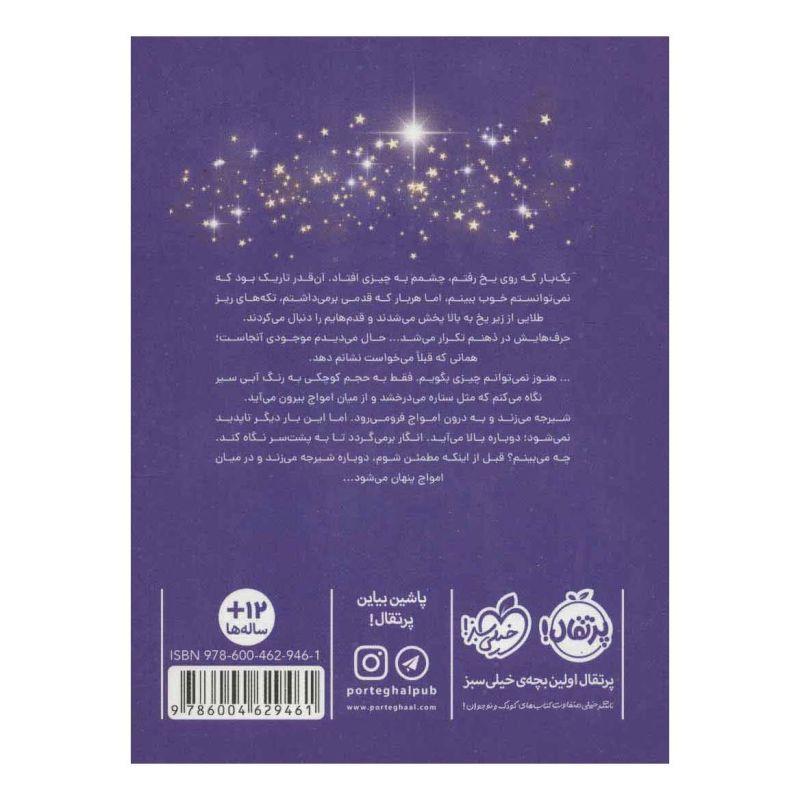 کتاب معمای دریاچه اثر سارا آر بامن انتشارات پرتقال