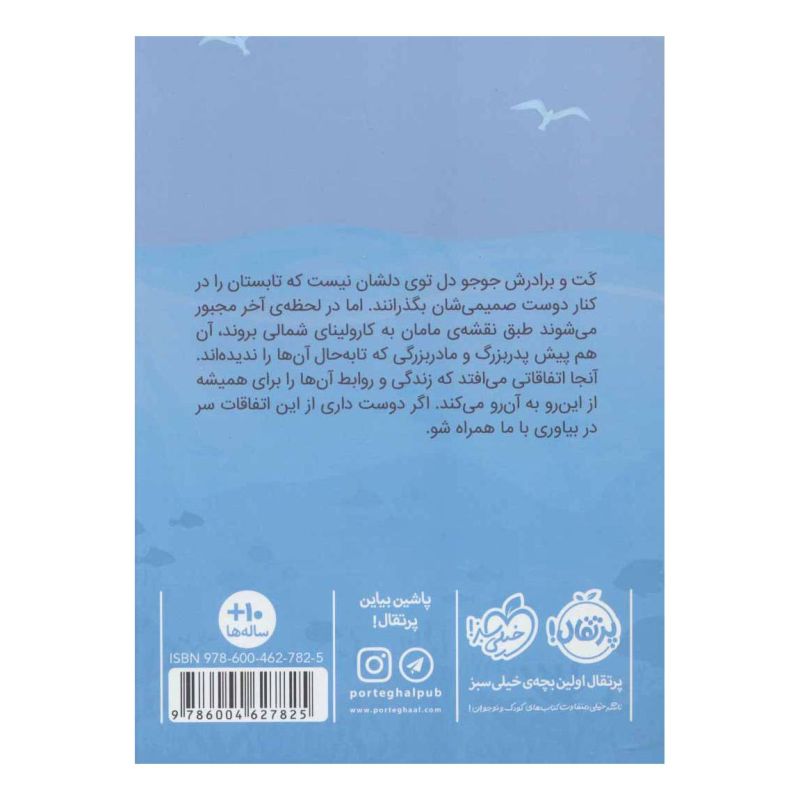 کتاب تابستانی به رنگ اقیانوس اثر جیلیان مک دان انتشارات پرتقال