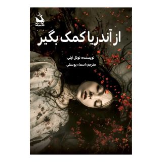 کتاب از آندریا کمک بگیر اثر نوئل دبلیو. ایهلی انتشارات سورتمه