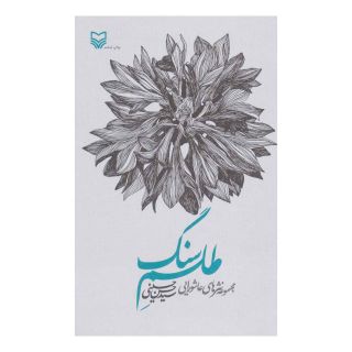 کتاب طلسم سنگ اثر حسن حسینی انتشارات سوره مهر
