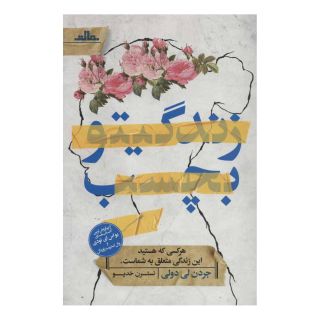 کتاب زندگیتو بچسب اثر جردن لی دولی انتشارات نشر مات