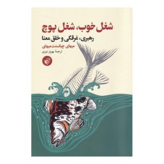 کتاب شغل خوب شغل پوچ اثر میهای چیکسنت میهایی انتشارات ترجمان
