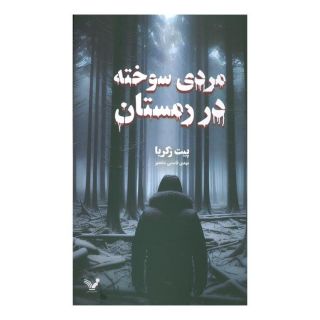 کتاب مردی سوخته در زمستان اثر پیت زکریا انتشارات کتابسرای تندیس