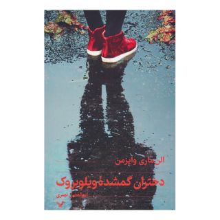 کتاب دختران گمشده ویلوبروک اثر الن ماری وایزمن انتشارات کتابسرای تندیس