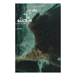 کتاب نفرین بال سوخته 1 اثر زهرا افشار زیبا انتشارات کتابسرای تندیس