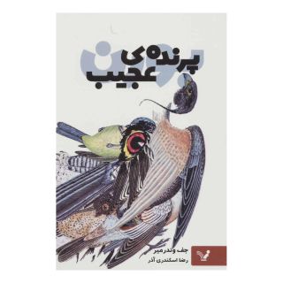کتاب پرنده ی عجیب اثر جف وندرمیر انتشارات کتابسرای تندیس