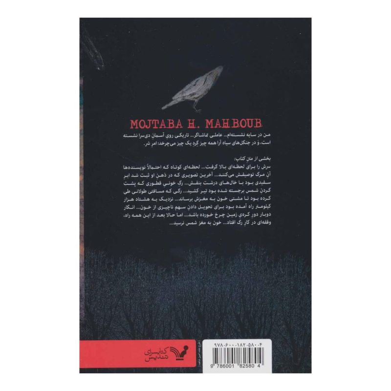 کتاب امارت شر اثر مجتبا هوشیار محبوب انتشارات کتابسرای تندیس