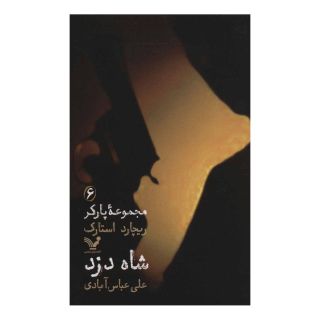 کتاب شاه دزد اثر ریچارد استارک انتشارات کتابسرای تندیس