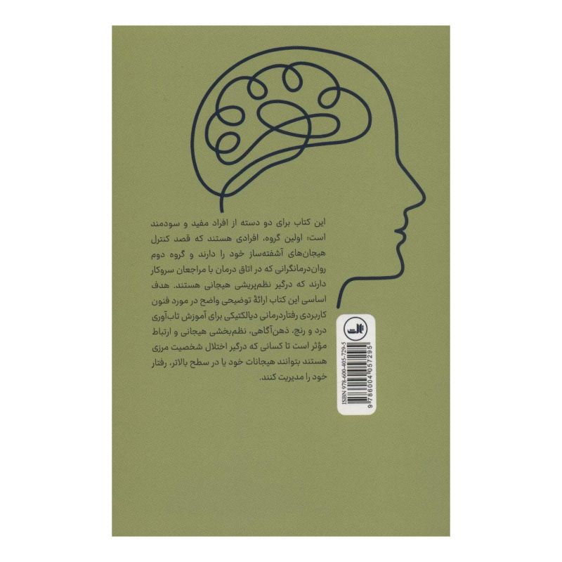 کتاب فنون کاربردی رفتار درمانی دیالکتیکی اثر ماتیو مک کی انتشارات نشر ثالث