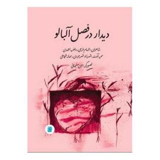 کتاب دیدار در فصل آلبالو اثر الهام فرجی انتشارات علمی و فرهنگی