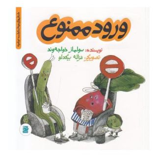 کتاب ورود ممنوع اثر سولماز خواجه وند انتشارات علمی و فرهنگی