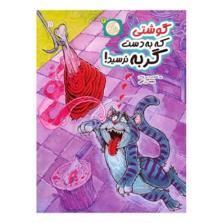 کتاب گوشتی که به دست گربه نرسید اثر سعید رزاقی انتشارات سروش