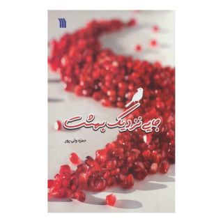 کتاب جایی نزدیک بهشت اثر حمزه ولی پور انتشارات سروش