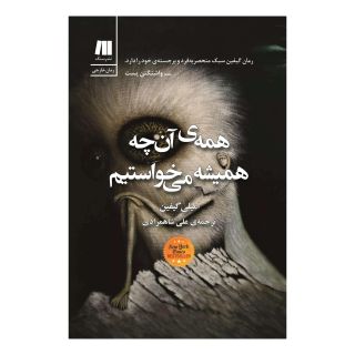 کتاب همه ی آن چه همیشه می خواستیم اثر امیلی گیفین انتشارات سنگ