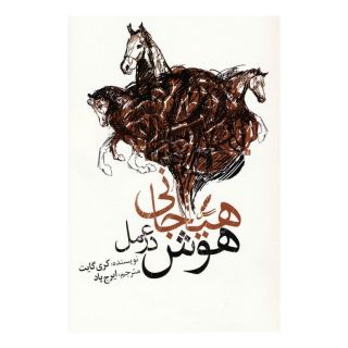 کتاب هوش هیجانی در عمل اثر کری گویت انتشارات سایه سخن