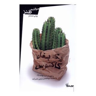 کتاب یک بغل کاکتوس اثر امید مهدی نژاد انتشارات سپیده باوران