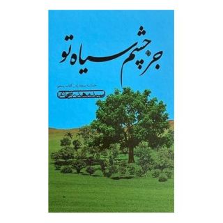 کتاب جز چشم سیاه تو اثر سید مهدی شجاعی انتشارات نیستان