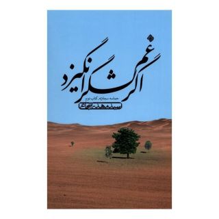 کتاب اگر غم لشگر انگیزد اثر سید مهدی شجاعی انتشارات نیستان