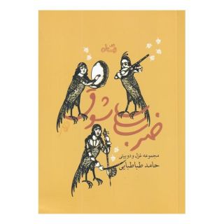 کتاب ضرب شوق اثر حامد طباطبایی انتشارات نیستان