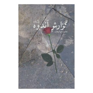 کتاب گزارش اندوه اثر محمود جوانبخت انتشارات نیستان