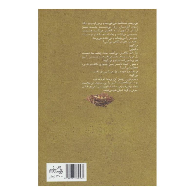 کتاب سال بازگشت اثر احمد دهقان انتشارات نیستان