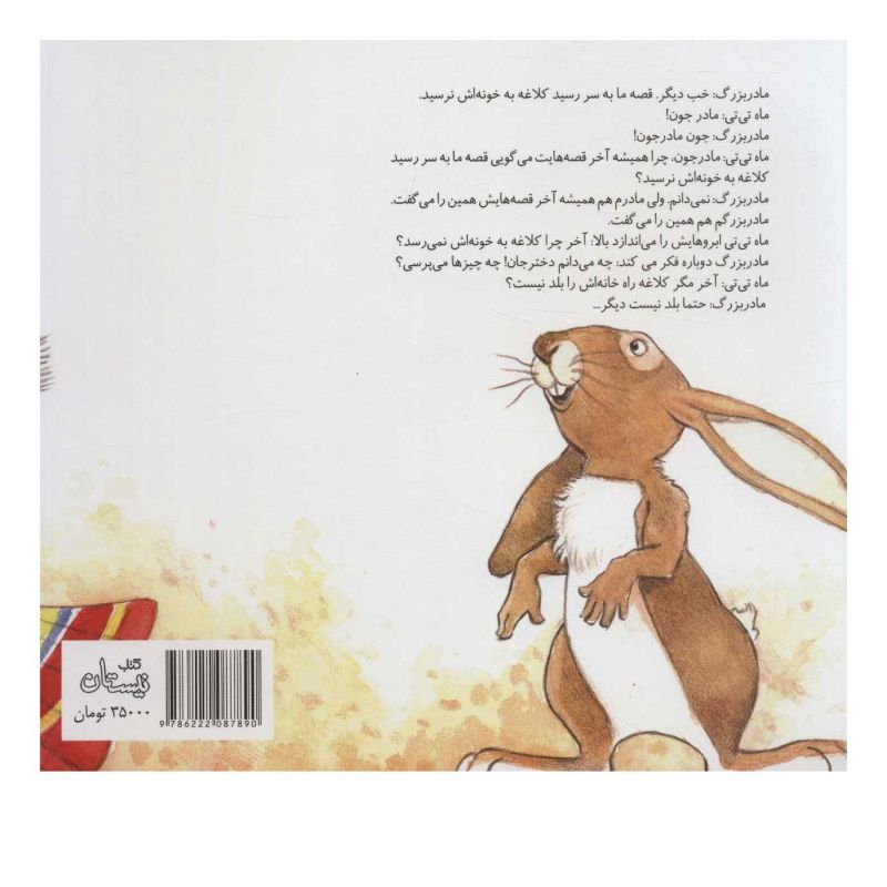 کتاب ماه تی تی و کلاغ سرگردان اثر لیدا طرزی انتشارات نیستان