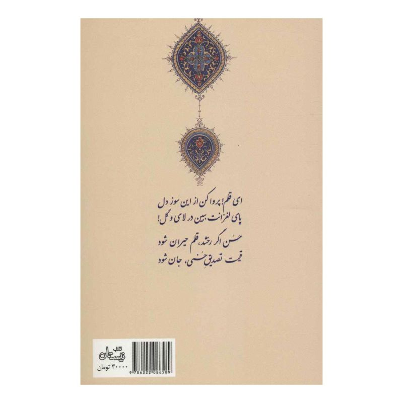 کتاب مثنوی حسنی اثر علیرضا پهلوان انتشارات نیستان
