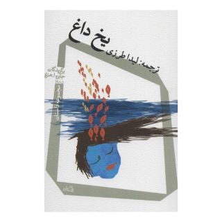 کتاب یخ داغ اثر مجموعه ی نویسندگان انتشارات نیستان
