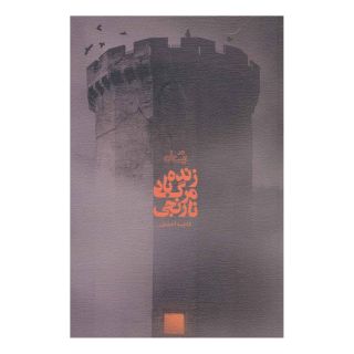 کتاب زنده باد مرگ نارنجی اثر فاطمه احمدی (۱۳۷۱) انتشارات نیستان