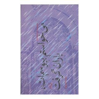 کتاب می خواستم ببوسم ات، باران گرفت اثر میلاد اکبر نژاد انتشارات نیستان