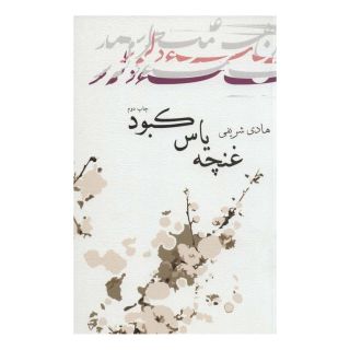 کتاب غنچه یاس کبود اثر هادی شریفی انتشارات نیستان